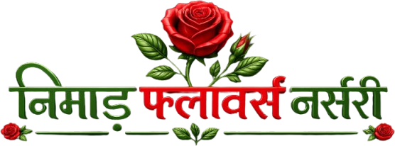 nimarflowers